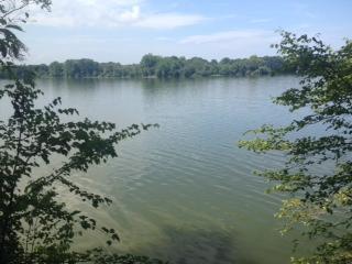 0 Woods Lake Rd Lot 2 - Photo 1