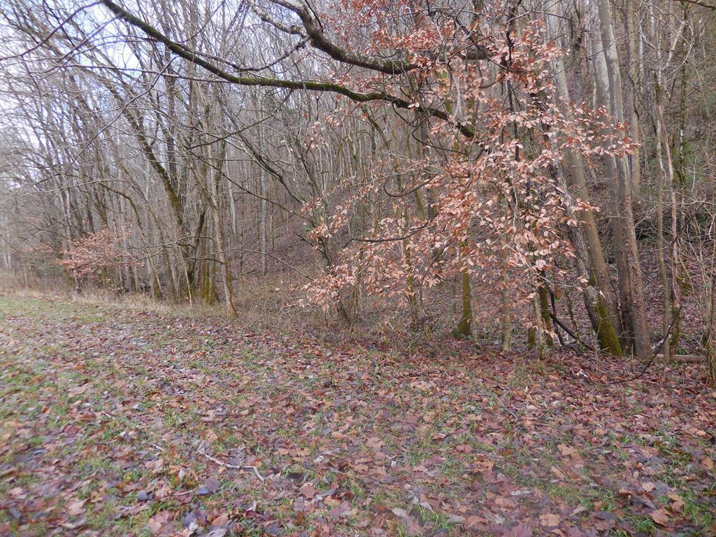 212 Eagle Ridge Rd - Photo 1