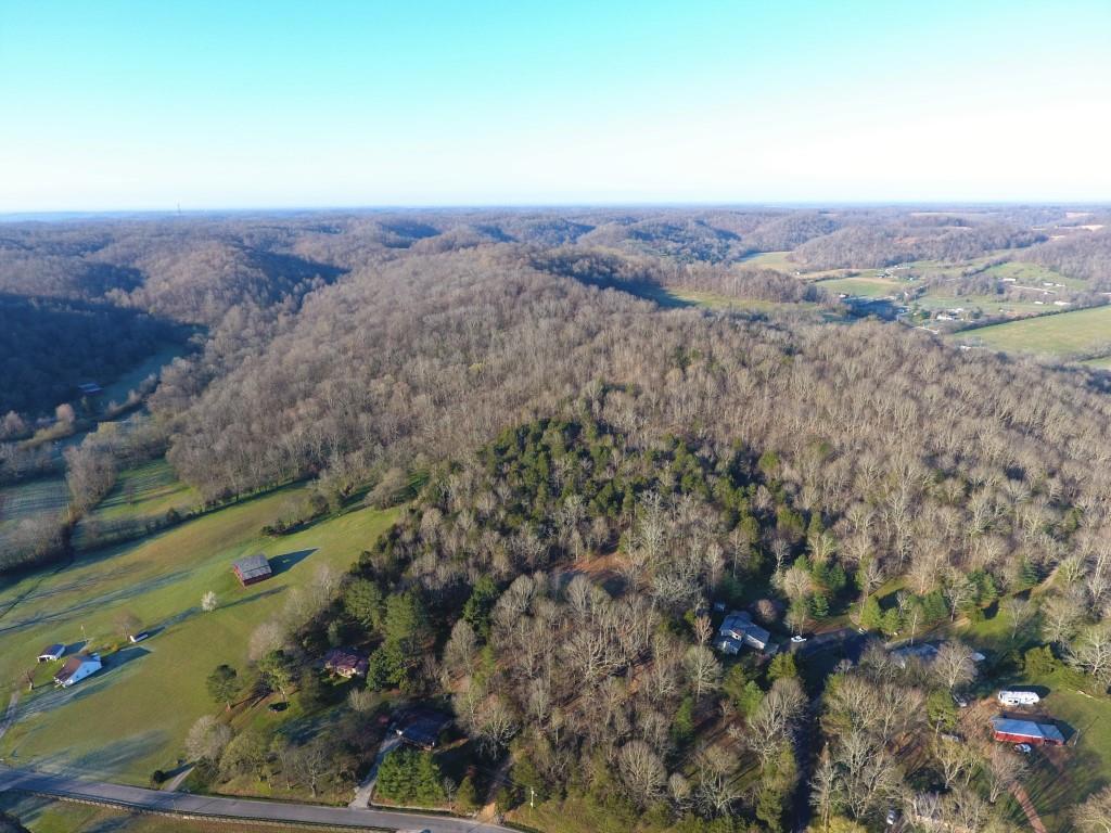 0 Tanyard Hollow Rd - Photo 1