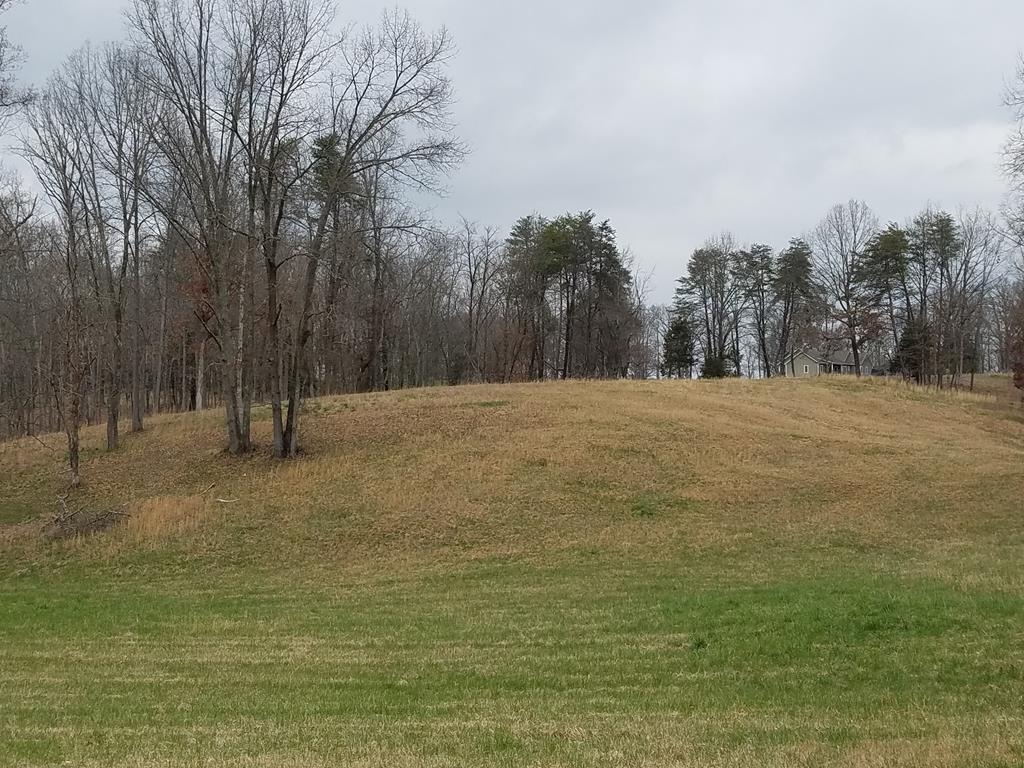 0 Bill Smith Rd - Photo 1