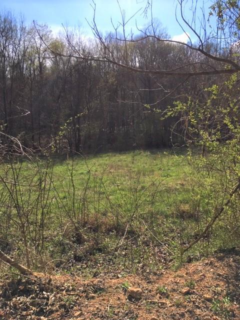 0 S Tatum Creek Road - Photo 1