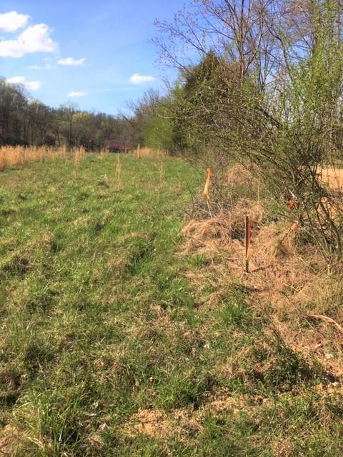 0 S Tatum Creek Road - Photo 1