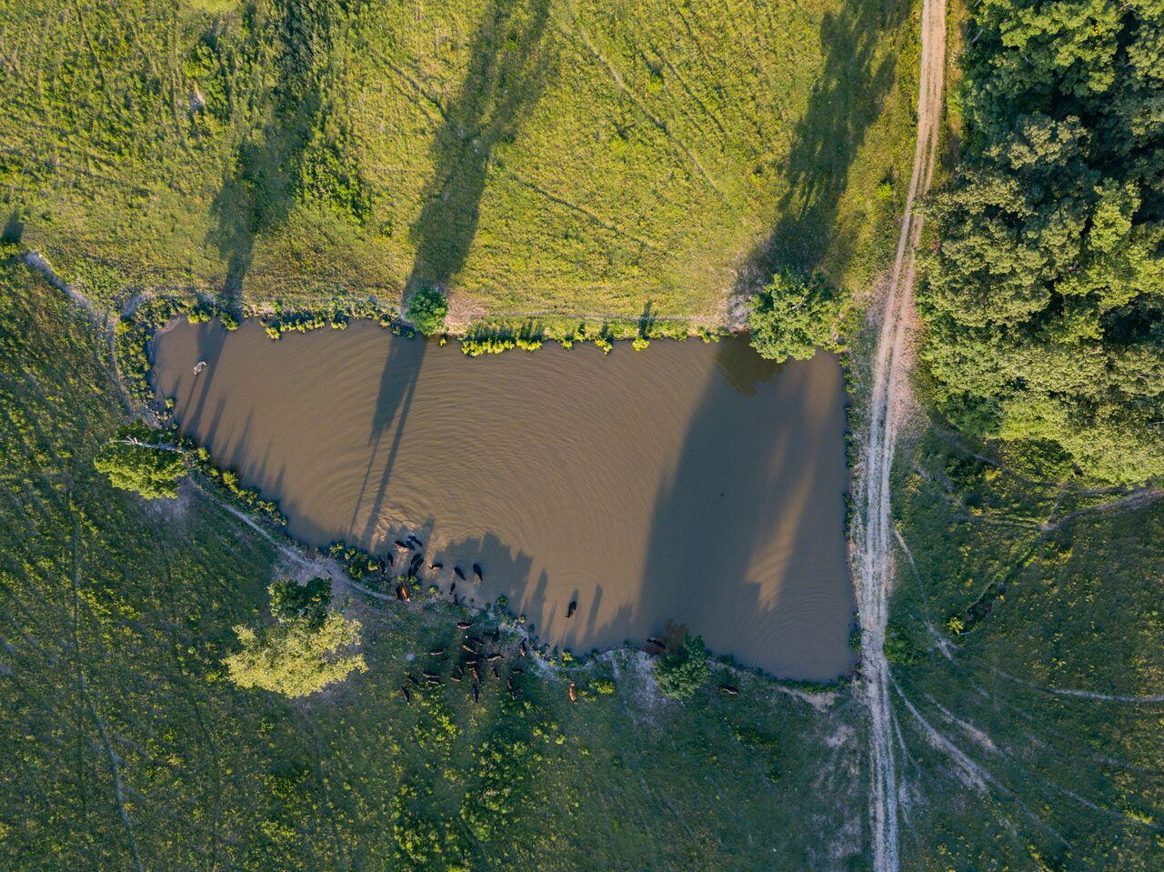 0 Locust Creek Rd - Photo 1