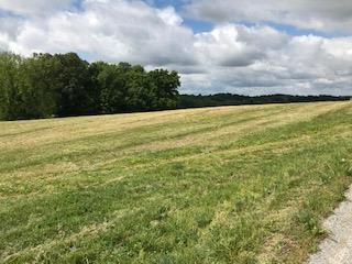 0 N Pinson Rd - Photo 1