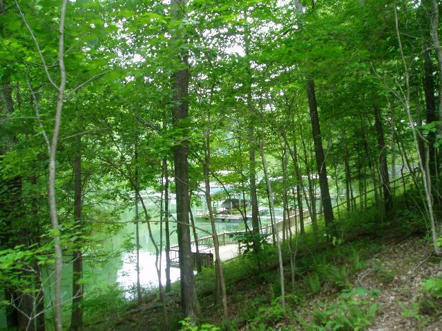 0 Leatherwood Dr Lot 9 - Photo 1