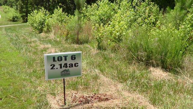 6 Nature Ridge Rd - Photo 1