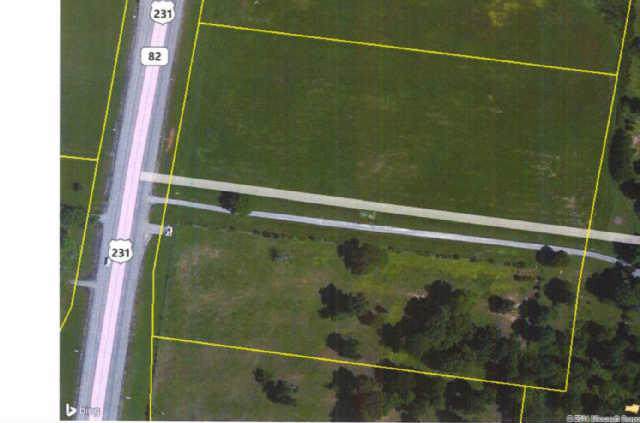 0 Hwy 231 N - Photo 1