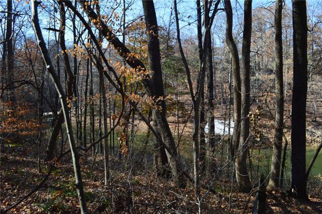 4LT Dry Creek Lane - Photo 1
