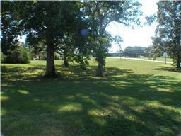 0 Riva Lake Rd Lots 1 & 2 - Photo 1
