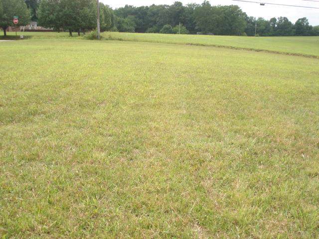0 Wilson Ln - Photo 1