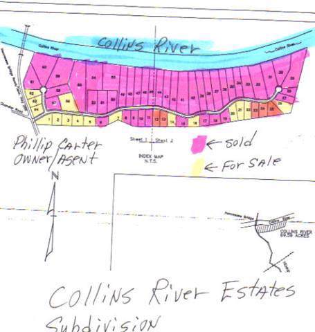 21 Collins River Drive - Photo 1 21 Collins River Drive - Photo 1