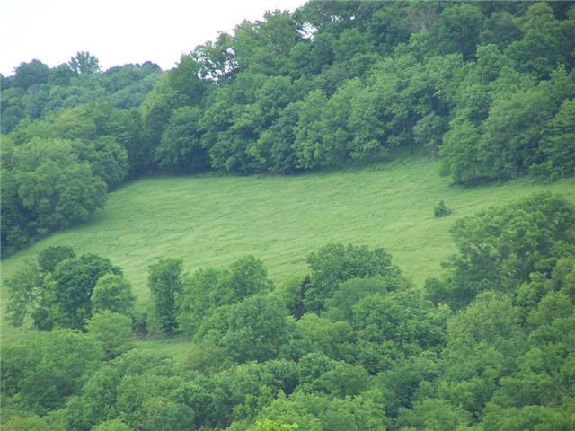 0 Davis Hollow Road - Photo 1
