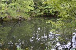 0 Allens Creek Rd - Photo 1