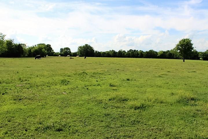 0 S Mt Juliet Rd - Photo 1