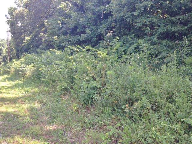 700 Crossvine Rd - Photo 1