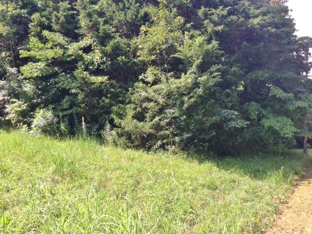 500 Crossvine Rd - Photo 1
