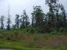 0 Fox Haven Dr - Photo 1