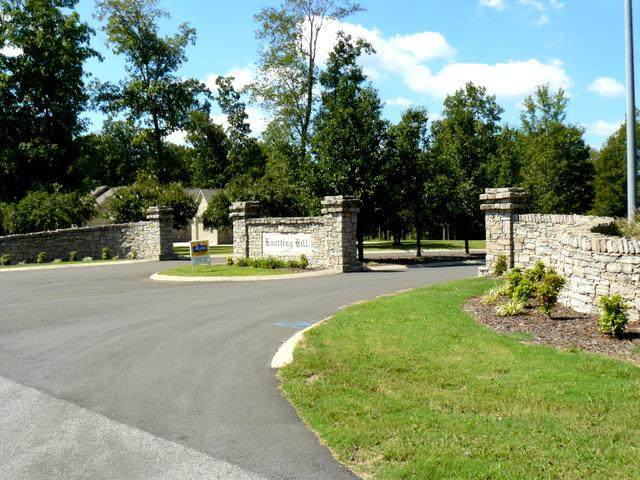0 Knotting Hill (Lot 40) - Photo 1