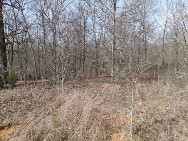 30 Backwoods Estates - Photo 1