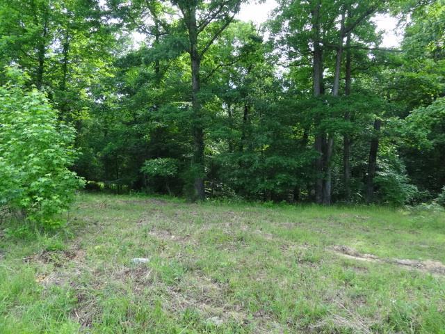 20 Backwood Estates - Photo 1