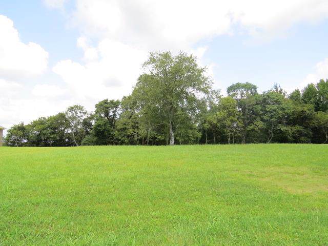 42 Lookout Lane - Photo 1