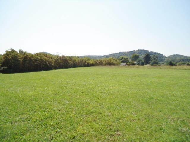 0 Bushes Ln Lot 3/Roys Farm - Photo 1