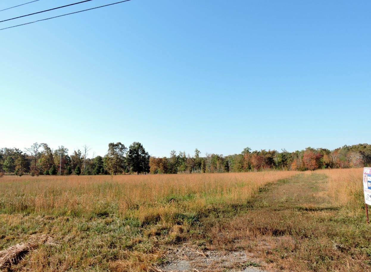 9303 Tullahoma Hwy - Photo 1