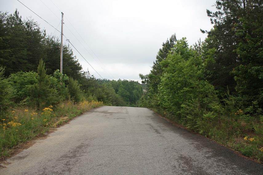 0 Baker Mountain Road - Photo 1