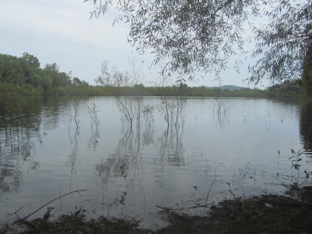 0 Roberts Bend Rd - Photo 1