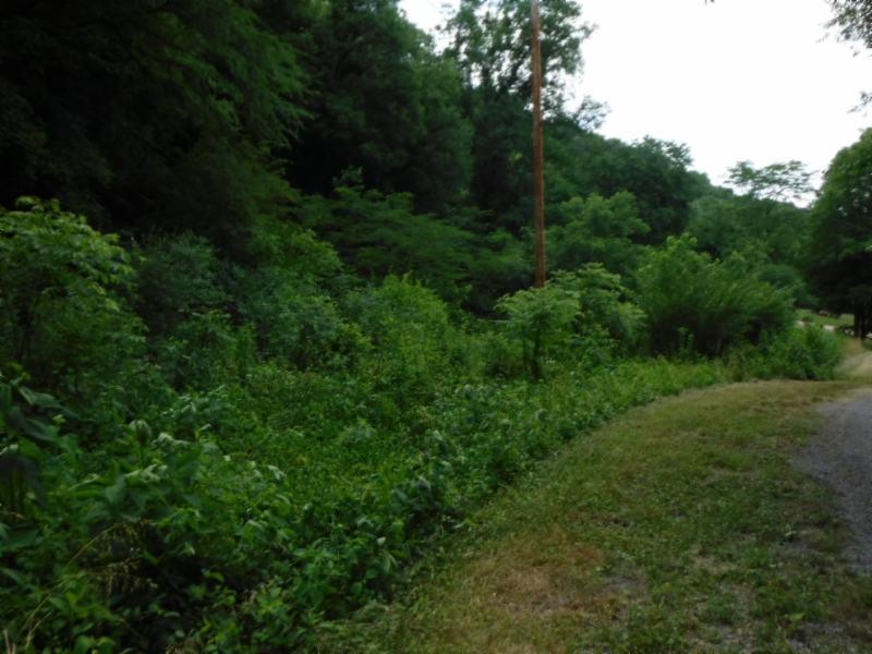 8 .55Ac Acorn Ln - Photo 1