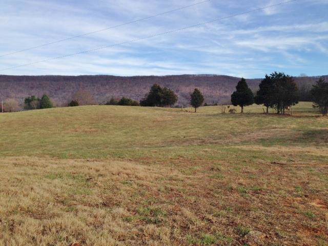1072 Dark Hollow - Photo 1