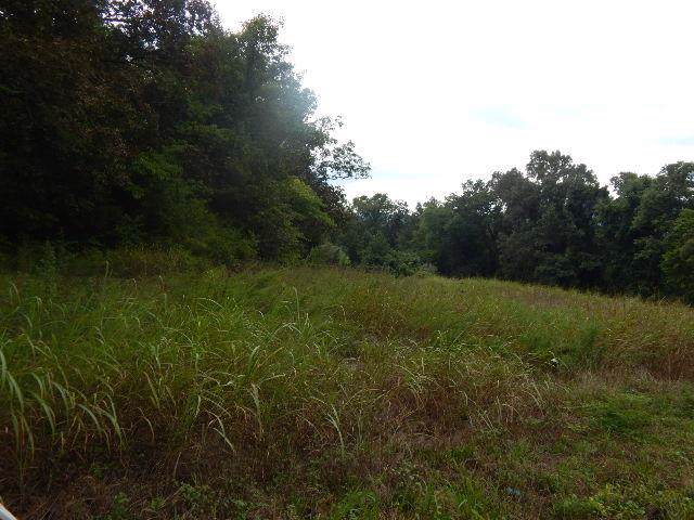 0 Collins Run - Photo 1