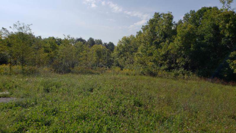 344 Us Hwy 70 E - Photo 1