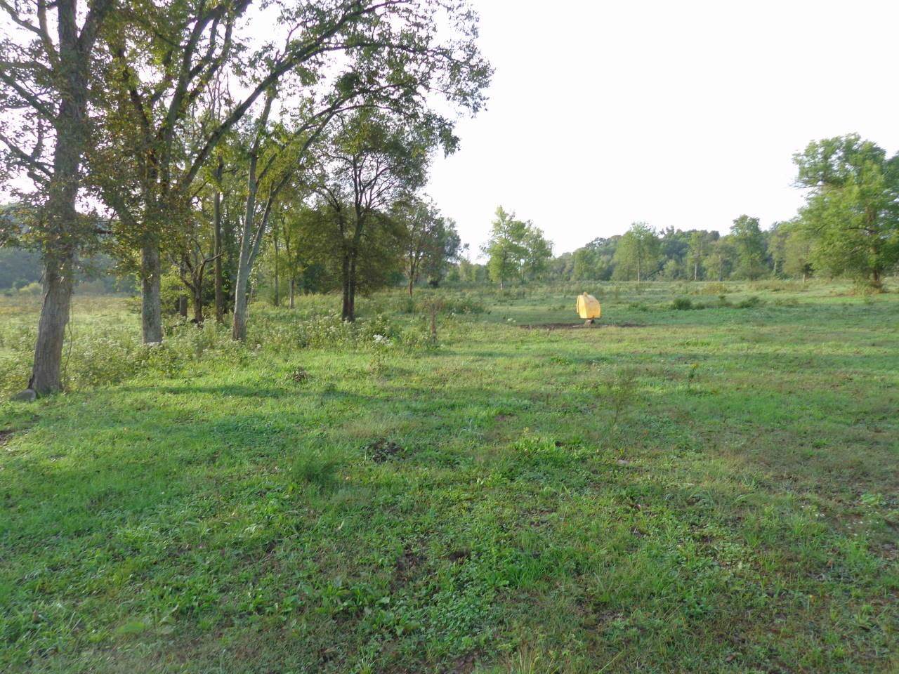 0 Railroad Rd - Photo 1