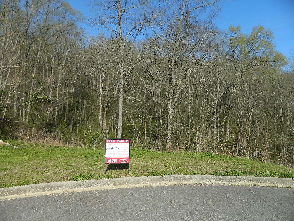 205 Sandgate Dr. - Photo 1