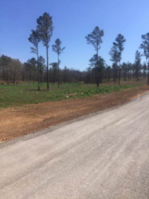 3 Eagle Ridge Lane - Photo 1