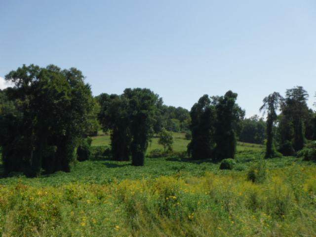 6 .16 Ac. Jared Rd - Photo 1