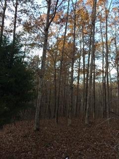 0 Mayapple Ct - Photo 1