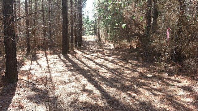 0 Ridge Wood - Photo 1