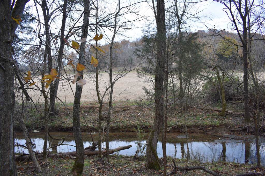 0 Little Salt Lick Creek Rd - Photo 1