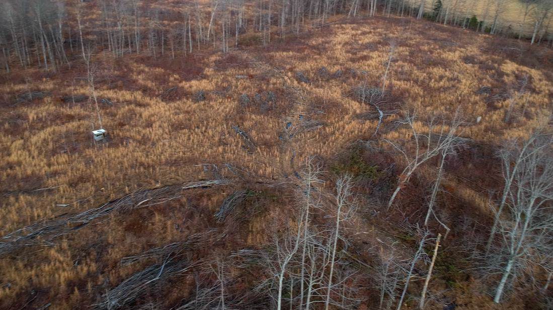 750 Joines Rd - Photo 1
