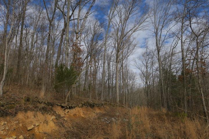 4404 Hannah Ford Rd - Photo 1