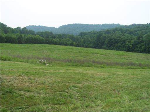 3525 John Bragg Hwy - Photo 1