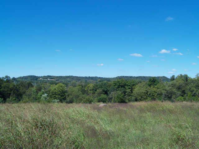 3 Old Tva Road - Photo 1