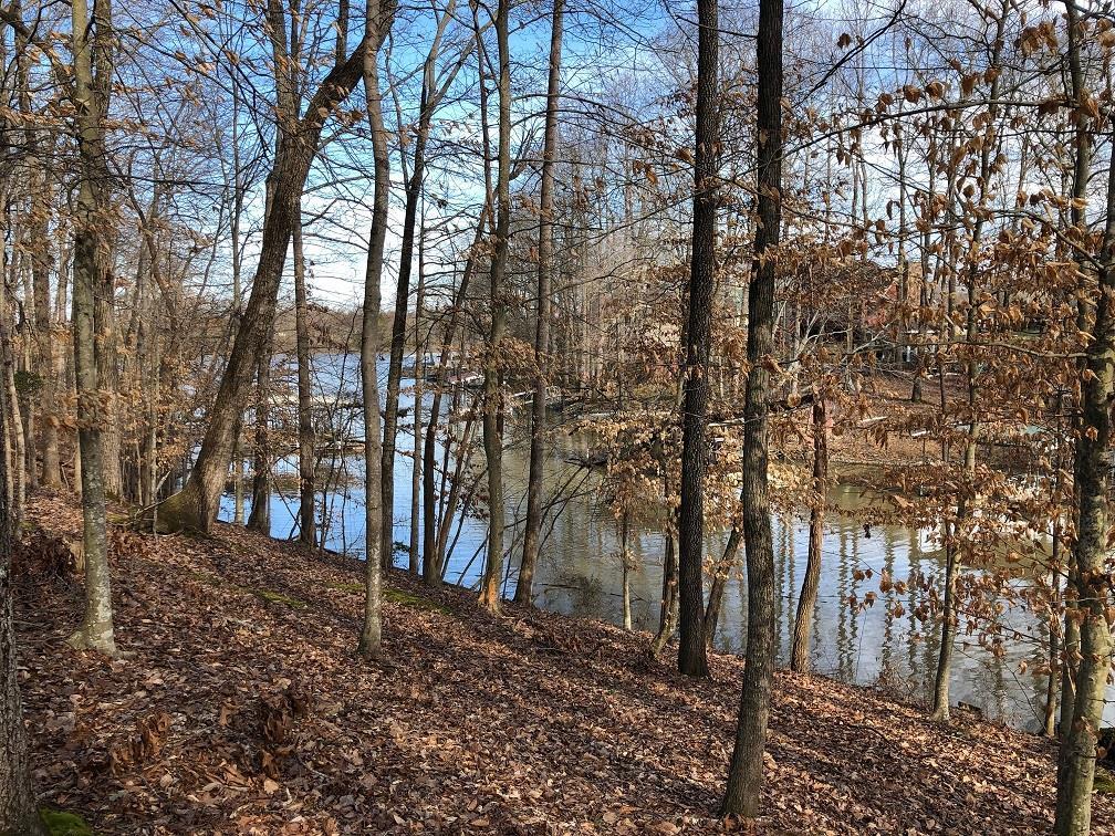 0 Lakeview St - Photo 1