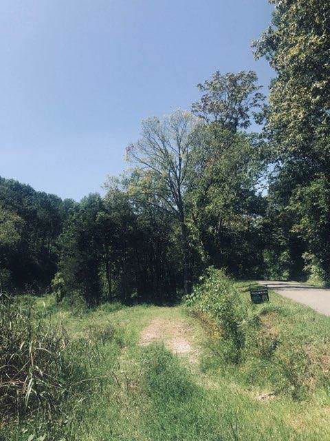0 Rocky Branch Rd - Photo 1