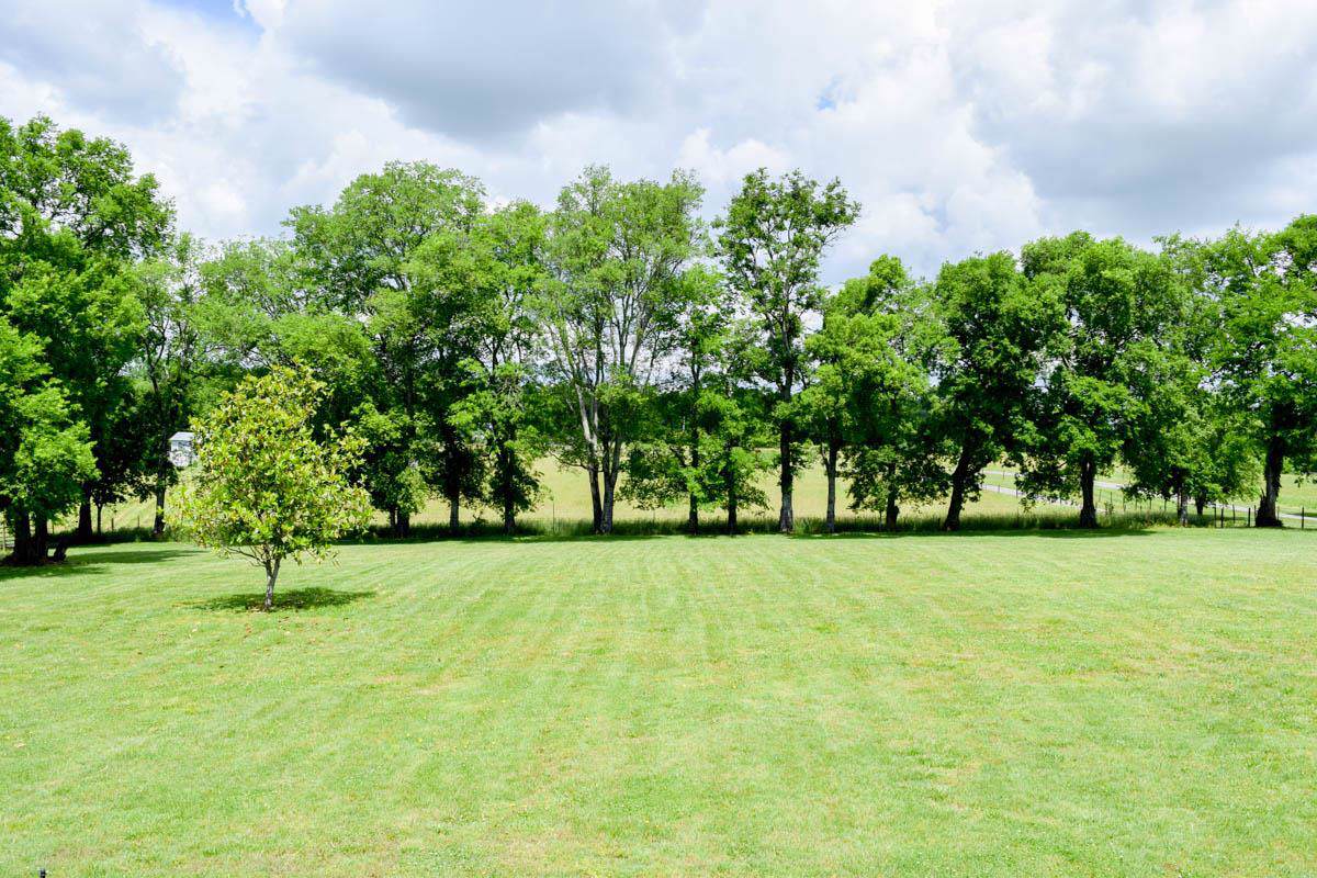 1075 Barry Ln - Photo 1