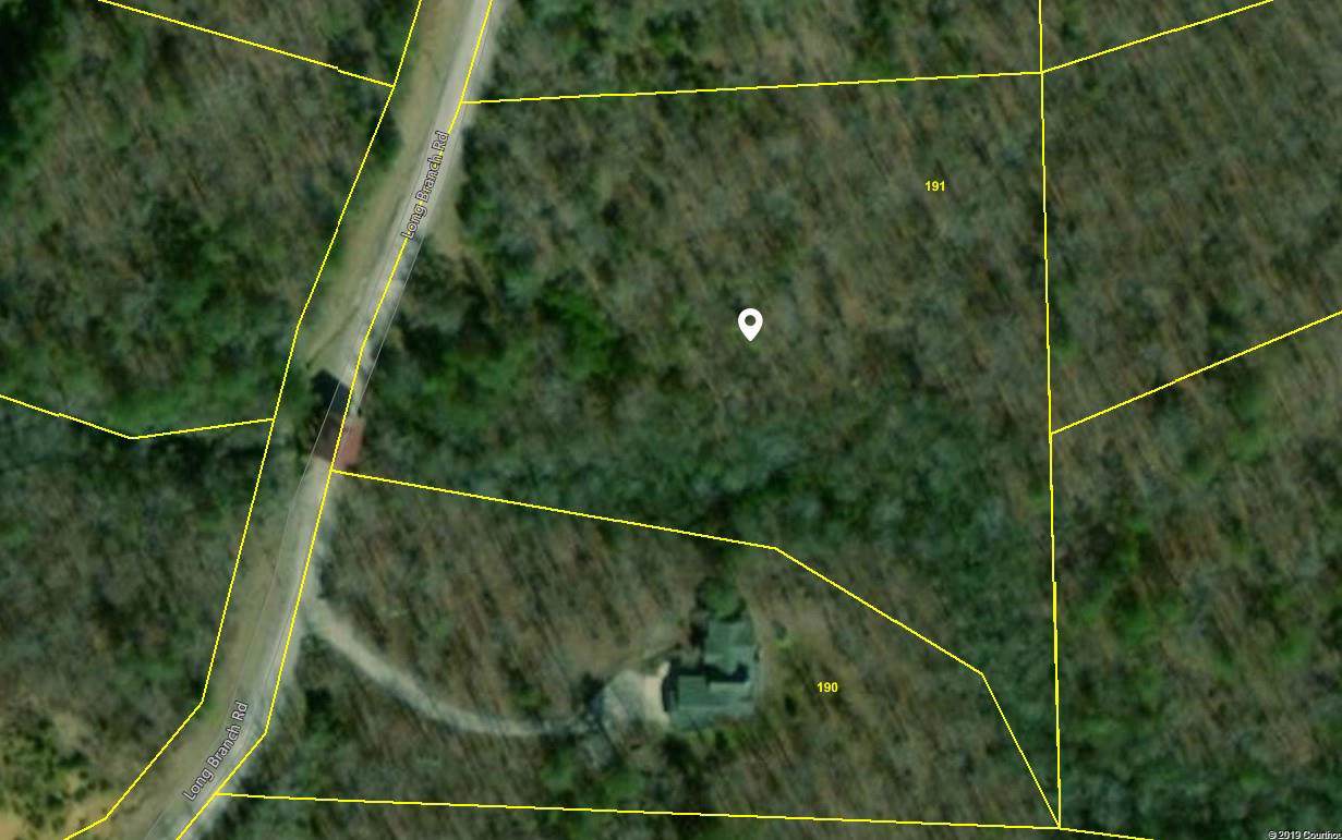 191 Long Branch Rd - Photo 1