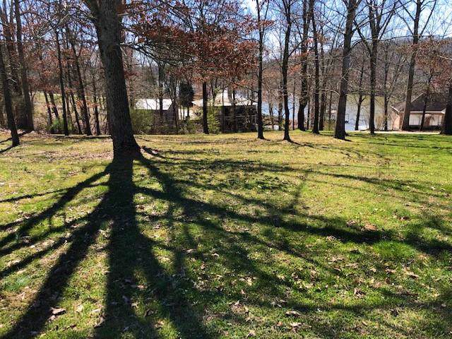 0 Bluff Dr - Photo 1