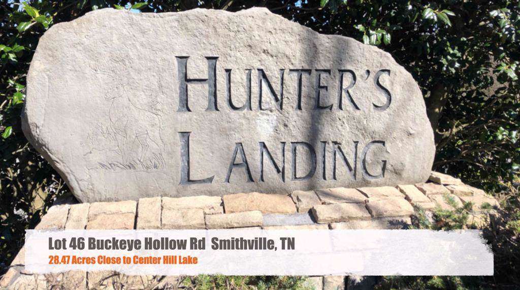 46 Buckeye Hollow Road - Photo 1